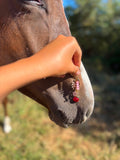 💗🍎 Pomme d’amour x Une ponette volante 🍎💗