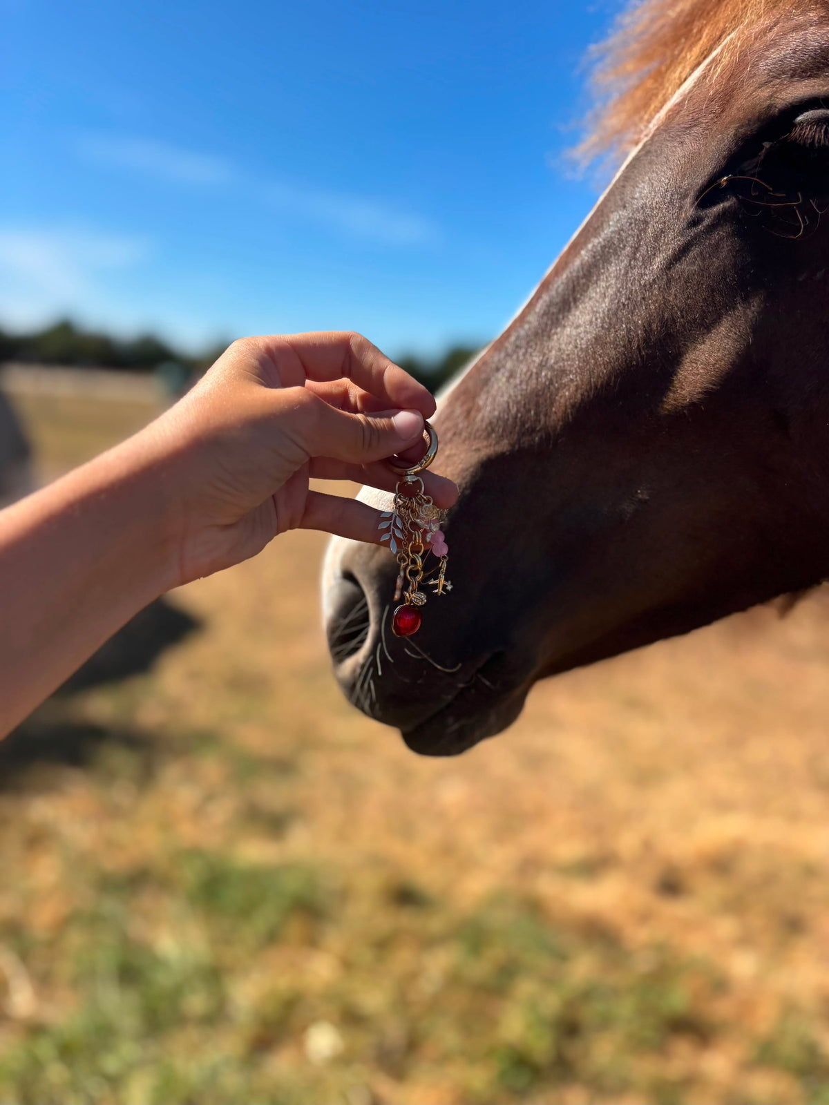 💗🍎 Pomme d’amour x Une ponette volante 🍎💗